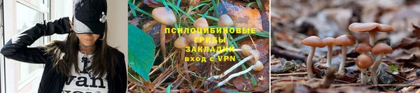 гашиш Володарск