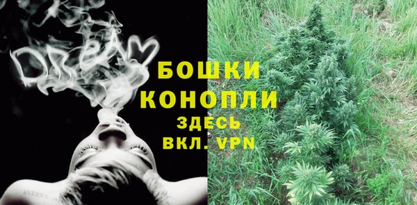 дурь Волоколамск