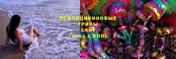 дурь Волоколамск