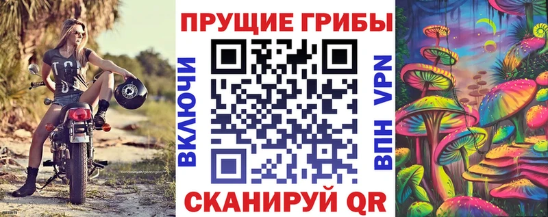 где купить наркоту  Набережные Челны  даркнет формула  Псилоцибиновые грибы Cubensis  OMG ONION 